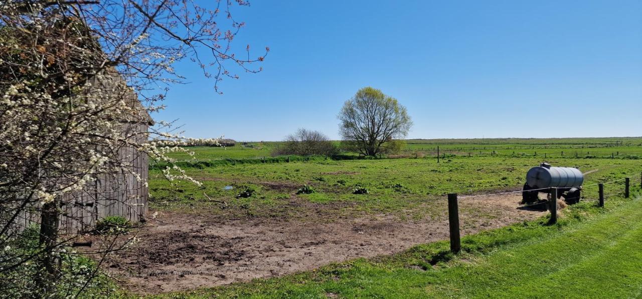 Ferienwohnung 'Gelting' - Refugium Pottloch Ostsee Kronsgaard Dış mekan fotoğraf